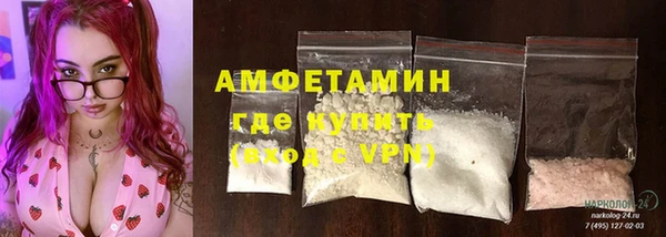 шишки Корсаков