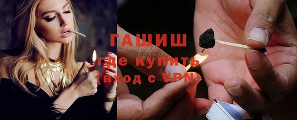шишки Корсаков