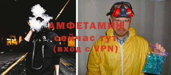 шишки Корсаков