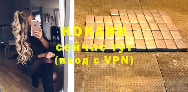 шишки Корсаков