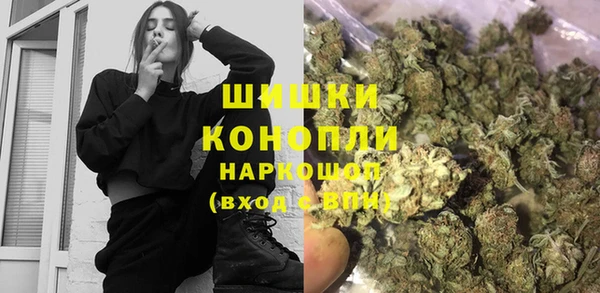 шишки Костерёво