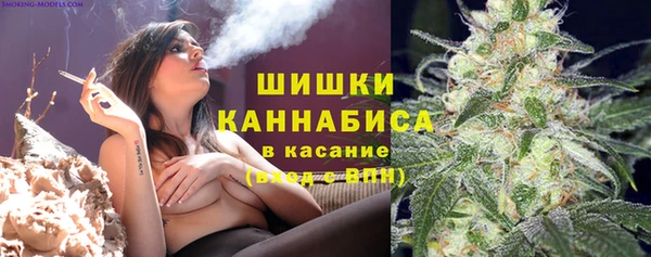шишки Костерёво