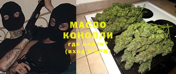 шишки Корсаков