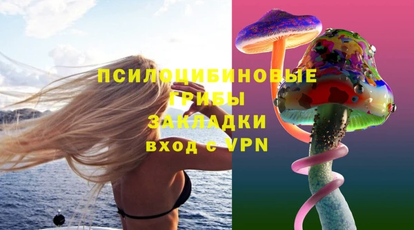 ПСИЛОЦИБИНОВЫЕ ГРИБЫ Коряжма