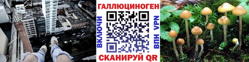Галлюциногенные грибы MAGIC MUSHROOMS  Протвино 