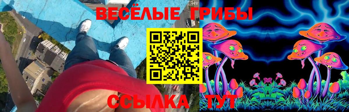 Галлюциногенные грибы ЛСД Протвино