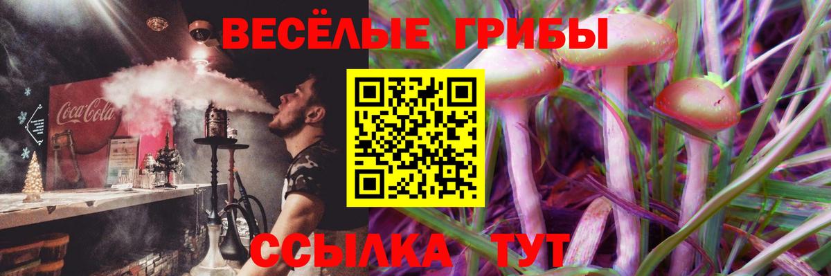 Псилоцибиновые грибы мицелий  Вход с VPN  Галлюциногенные грибы Magic Shrooms  Протвино 